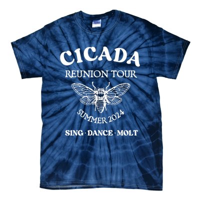 Cicada 2024 Cicada Reunion Funny Cicada Concert Tie-Dye T-Shirt