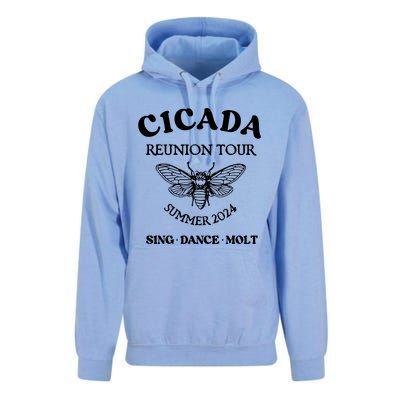 Cicada 2024 Cicada Reunion Funny Cicada Concert Unisex Surf Hoodie