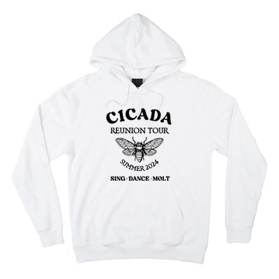 Cicada 2024 Cicada Reunion Funny Cicada Concert Hoodie