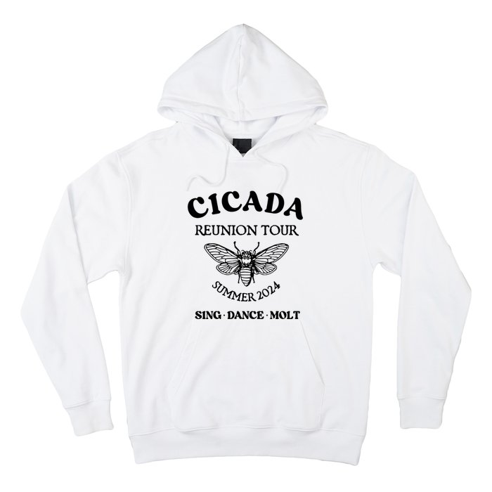 Cicada 2024 Cicada Reunion Funny Cicada Concert Hoodie