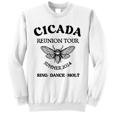 Cicada 2024 Cicada Reunion Funny Cicada Concert Sweatshirt