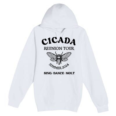 Cicada 2024 Cicada Reunion Funny Cicada Concert Premium Pullover Hoodie