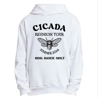 Cicada 2024 Cicada Reunion Funny Cicada Concert Urban Pullover Hoodie