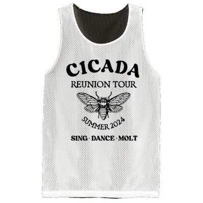 Cicada 2024 Cicada Reunion Funny Cicada Concert Mesh Reversible Basketball Jersey Tank