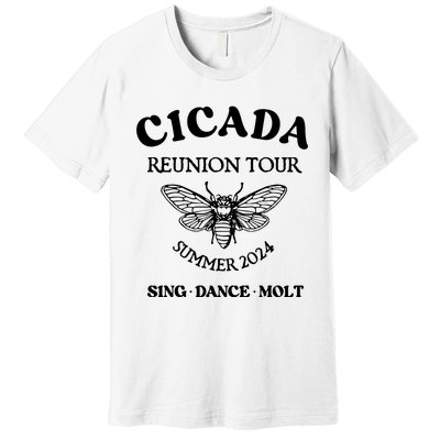 Cicada 2024 Cicada Reunion Funny Cicada Concert Premium T-Shirt