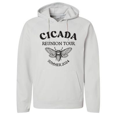 Cicada 2024 Cicada Reunion Funny Cicada Concert Performance Fleece Hoodie