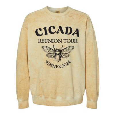 Cicada 2024 Cicada Reunion Funny Cicada Concert Colorblast Crewneck Sweatshirt