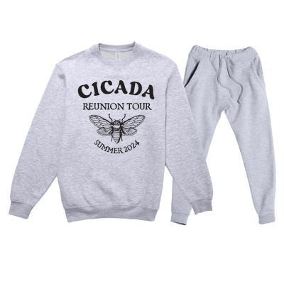 Cicada 2024 Cicada Reunion Funny Cicada Concert Premium Crewneck Sweatsuit Set