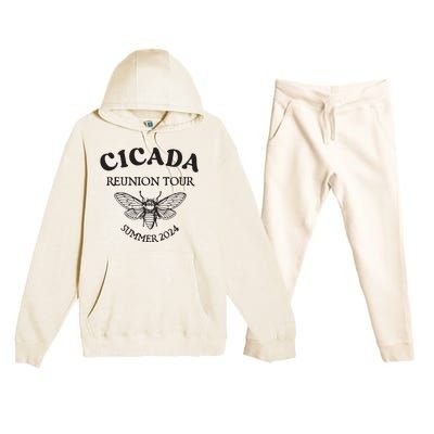 Cicada 2024 Cicada Reunion Funny Cicada Concert Premium Hooded Sweatsuit Set