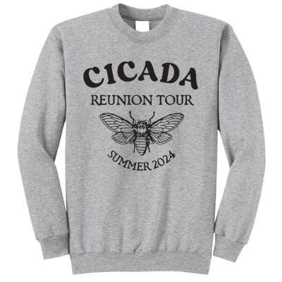 Cicada 2024 Cicada Reunion Funny Cicada Concert Tall Sweatshirt