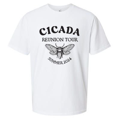 Cicada 2024 Cicada Reunion Funny Cicada Concert Sueded Cloud Jersey T-Shirt