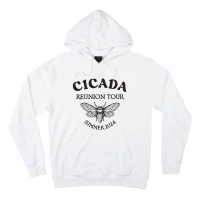 Cicada 2024 Cicada Reunion Funny Cicada Concert Hoodie