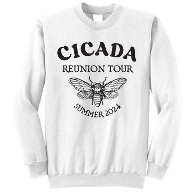 Cicada 2024 Cicada Reunion Funny Cicada Concert Sweatshirt