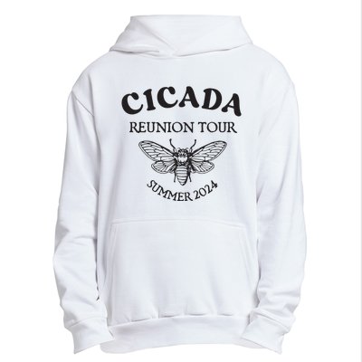 Cicada 2024 Cicada Reunion Funny Cicada Concert Urban Pullover Hoodie