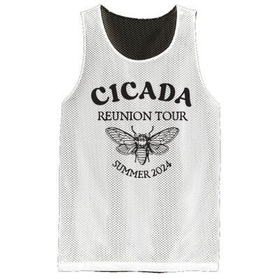 Cicada 2024 Cicada Reunion Funny Cicada Concert Mesh Reversible Basketball Jersey Tank