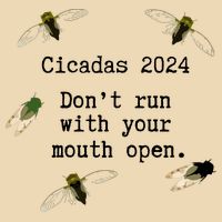 Cicada 2024 Cicadas Funny Cicada Bag