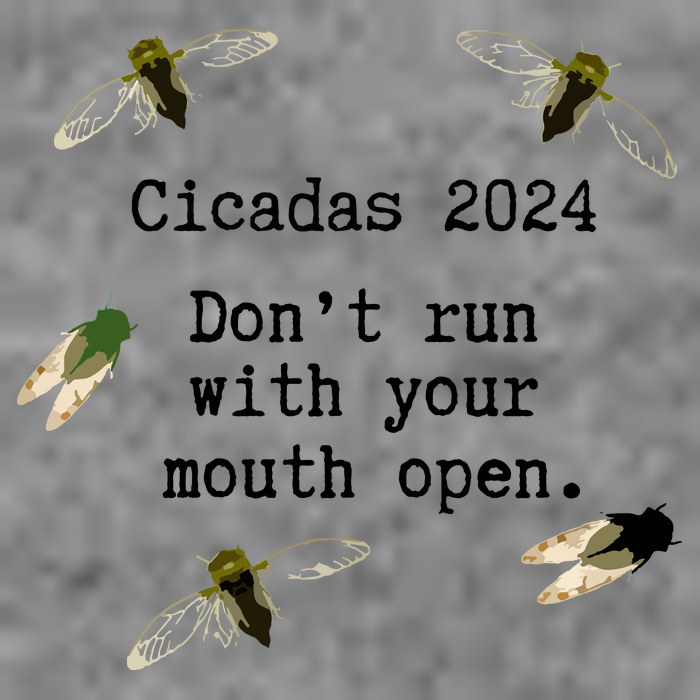 Cicada 2024 Cicadas Funny Cicada Hooded Wearable Blanket