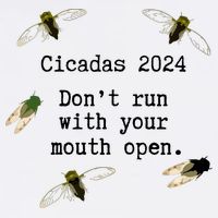 Cicada 2024 Cicadas Funny Cicada Apron