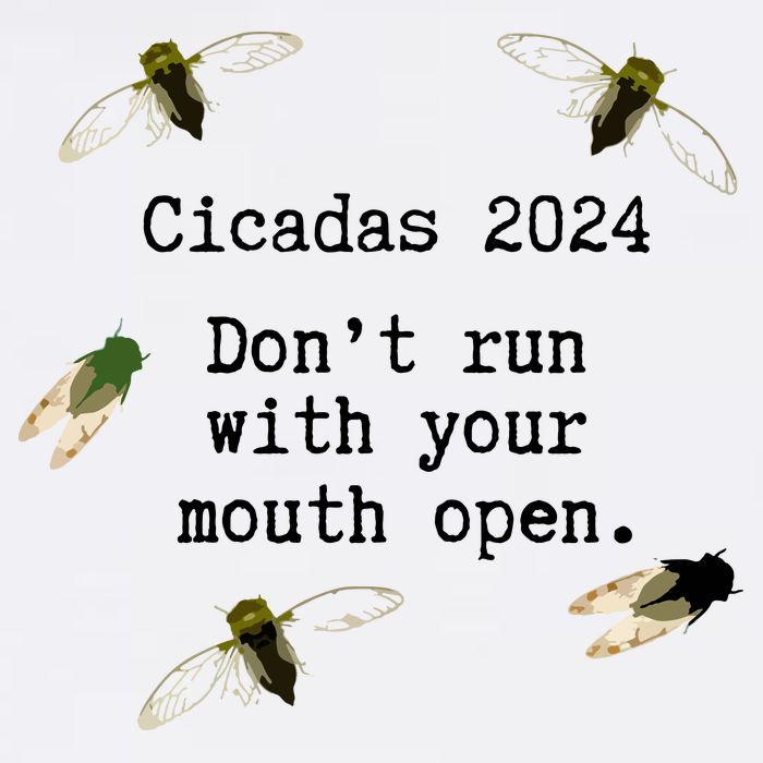 Cicada 2024 Cicadas Funny Cicada Apron