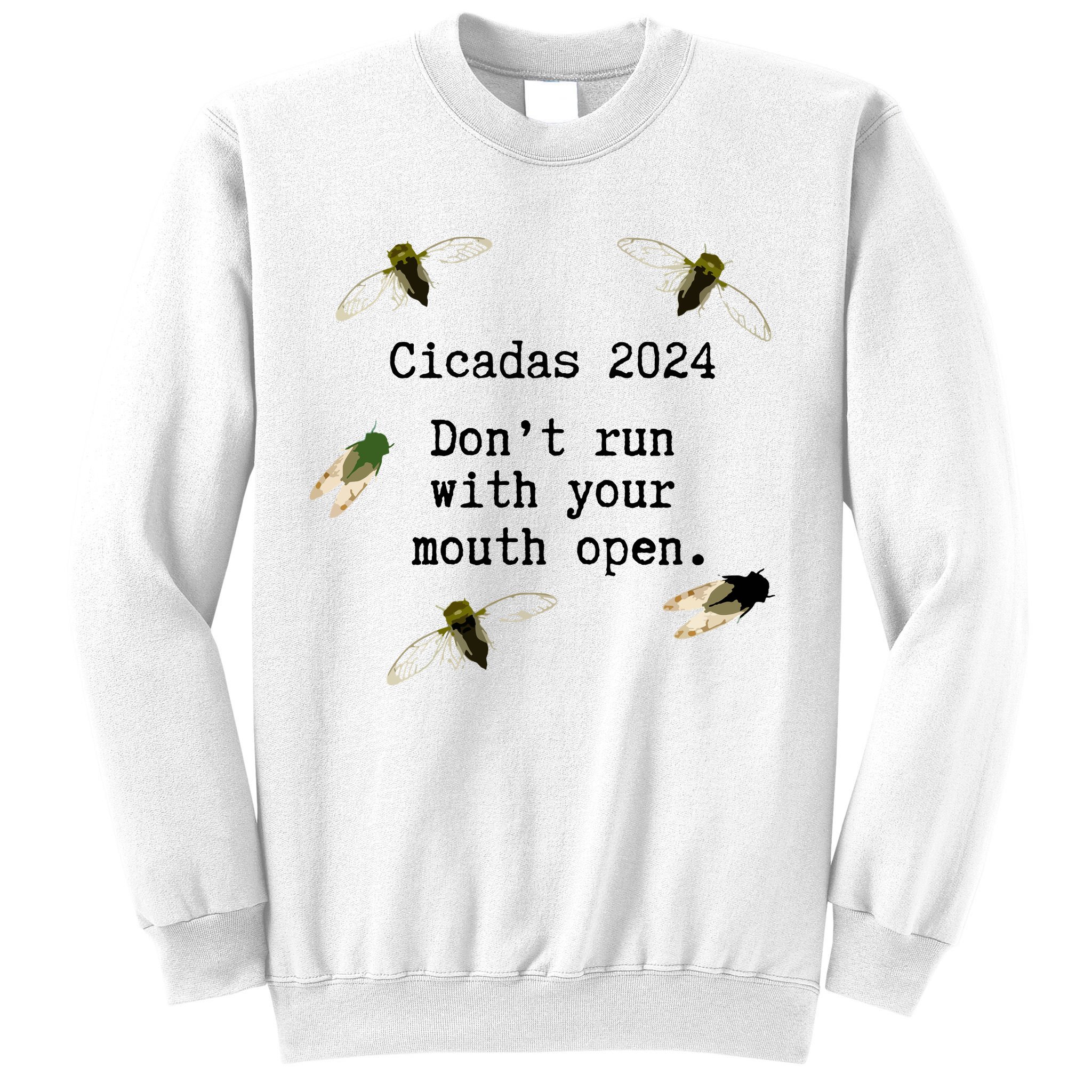 Cicada 2024 Cicadas Funny Cicada Sweatshirt