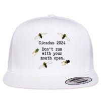 Cicada 2024 Cicadas Funny Cicada Flat Bill Trucker Hat