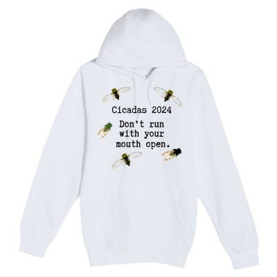 Cicada 2024 Cicadas Funny Cicada Premium Pullover Hoodie