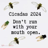 Cicada 2024 Cicadas Funny Cicada Poster