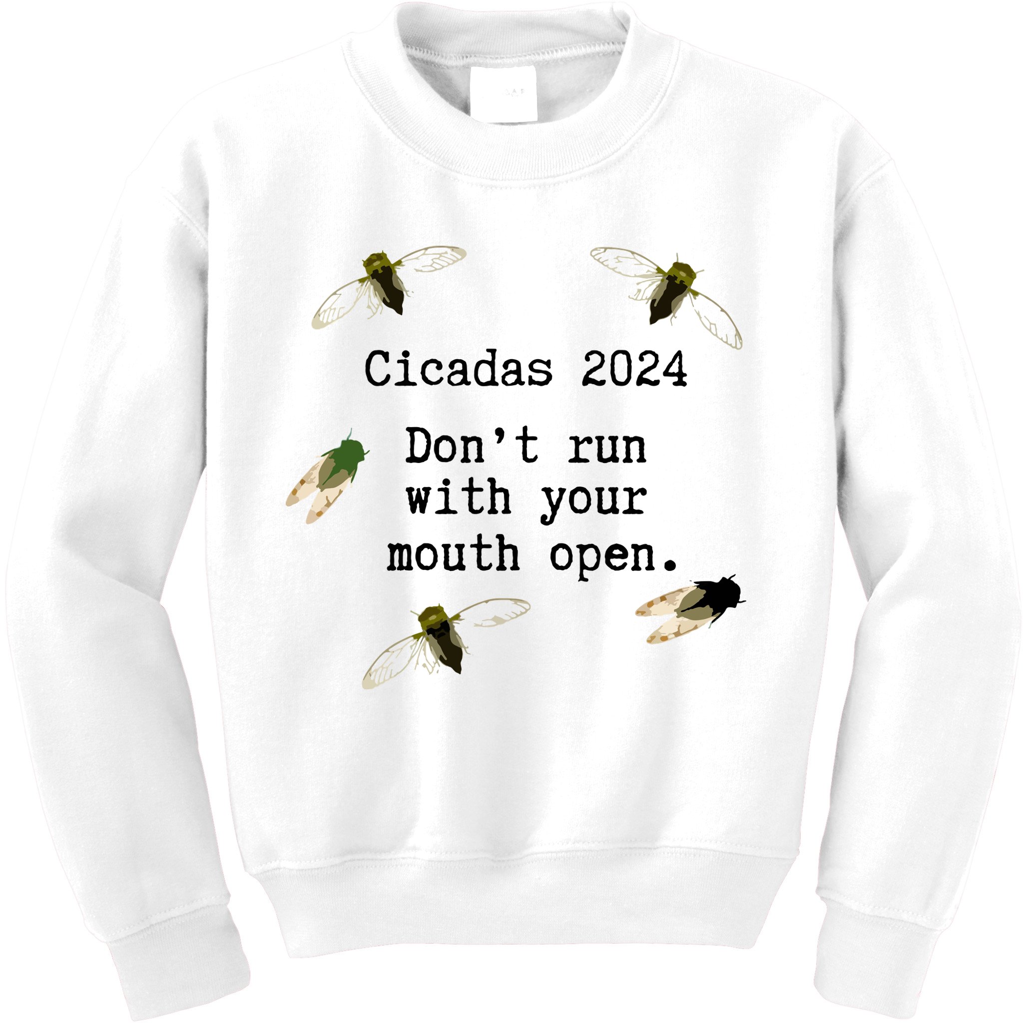 Cicada 2024 Cicadas Funny Cicada Kids Sweatshirt