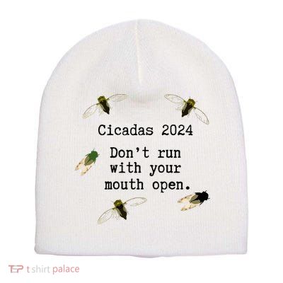 Cicada 2024 Cicadas Funny Cicada Short Acrylic Beanie