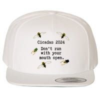 Cicada 2024 Cicadas Funny Cicada Wool Snapback Cap
