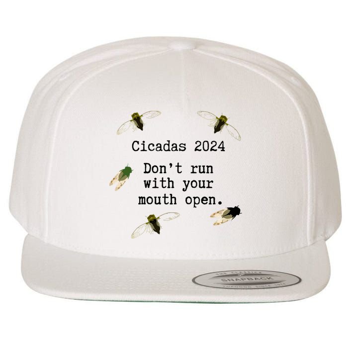 Cicada 2024 Cicadas Funny Cicada Wool Snapback Cap
