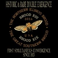 Cicada 2024 Event Brood Xix & Xiii Emergence Sweatshirt