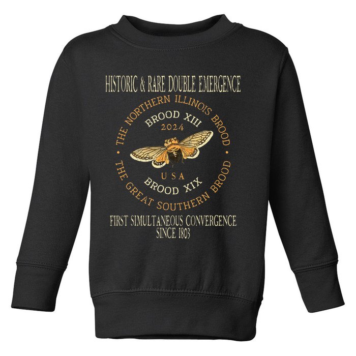 Cicada 2024 Event Brood Xix & Xiii Emergence Toddler Sweatshirt