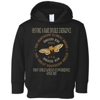 Cicada 2024 Event Brood Xix & Xiii Emergence Toddler Hoodie