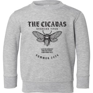 Cicada 2024 Funny Cicada Reunion Toddler Sweatshirt