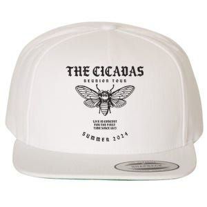 Cicada 2024 Funny Cicada Reunion Wool Snapback Cap