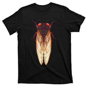 Cicada 2024 Invasion Emergence Swarm Brood Xiii Xix T-Shirt