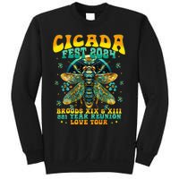 Cicada 2024 Insect Cicada Lover Sweatshirt