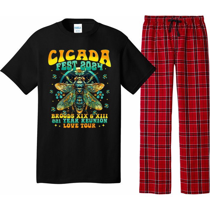 Cicada 2024 Insect Cicada Lover Pajama Set