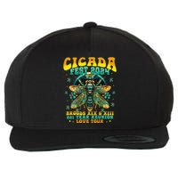 Cicada 2024 Insect Cicada Lover Wool Snapback Cap