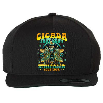 Cicada 2024 Insect Cicada Lover Wool Snapback Cap