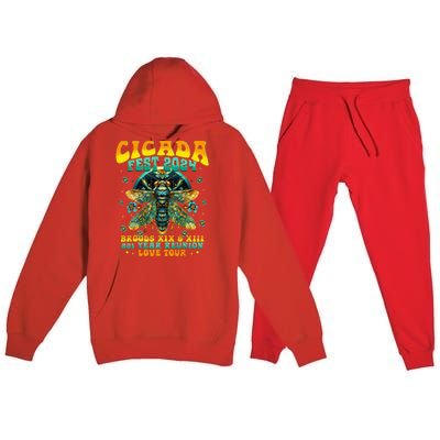 Cicada 2024 Insect Cicada Lover Premium Hooded Sweatsuit Set