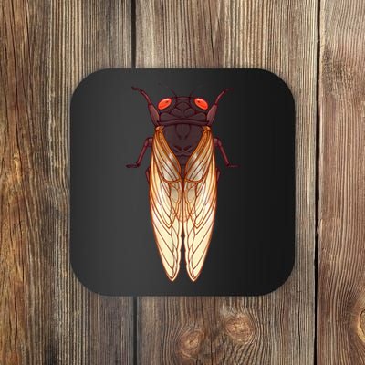 Cicada 2024 Invasion Emergence Swarm Brood Xiii Xix Coaster