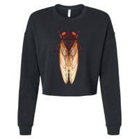 Cicada 2024 Invasion Emergence Swarm Brood Xiii Xix Cropped Pullover Crew