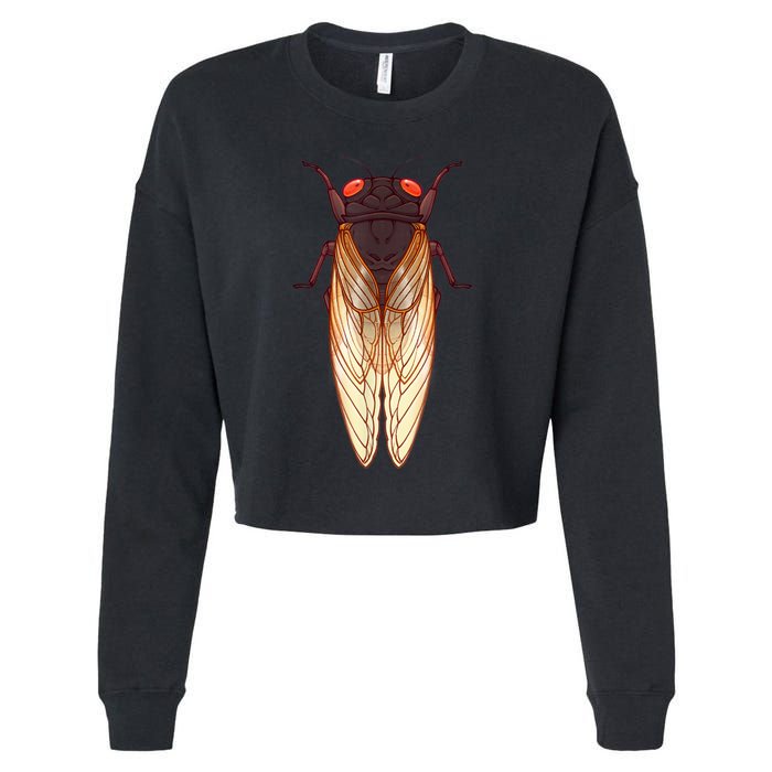 Cicada 2024 Invasion Emergence Swarm Brood Xiii Xix Cropped Pullover Crew