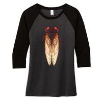 Cicada 2024 Invasion Emergence Swarm Brood Xiii Xix Women's Tri-Blend 3/4-Sleeve Raglan Shirt