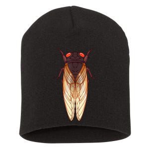 Cicada 2024 Invasion Emergence Swarm Brood Xiii Xix Short Acrylic Beanie