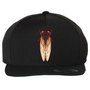 Cicada 2024 Invasion Emergence Swarm Brood Xiii Xix Wool Snapback Cap