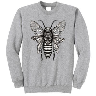 Cicada 2024 Invasion Double Emergence Tall Sweatshirt