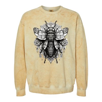 Cicada 2024 Invasion Double Emergence Colorblast Crewneck Sweatshirt